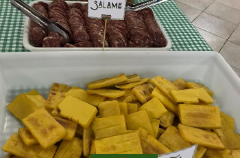 Galeria de Imagem