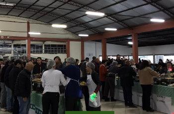 Galeria de Imagem