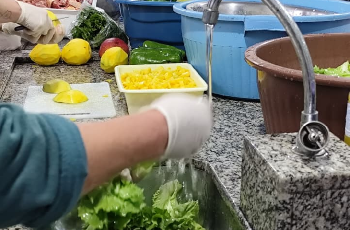 Galeria de Imagem