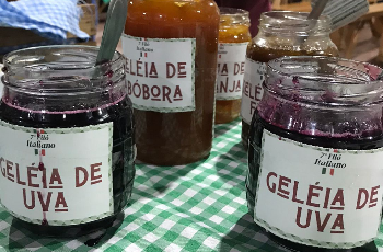 Galeria de Imagem