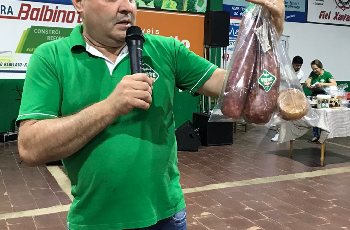 Galeria de Imagem