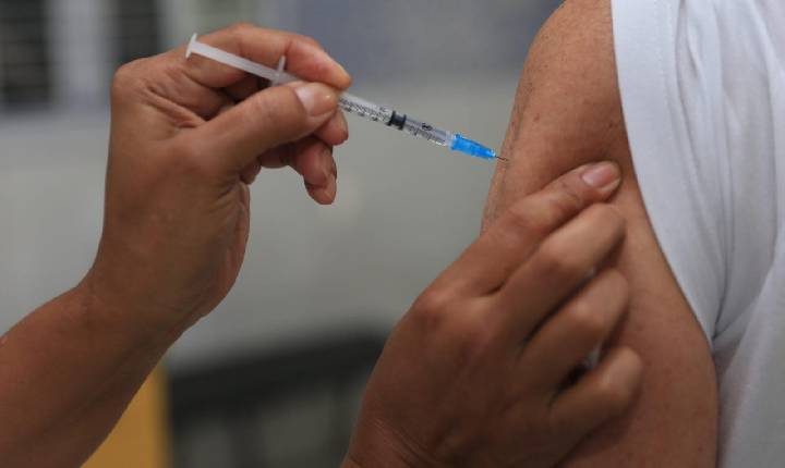 Anvisa aprova primeira vacina para chikungunya
