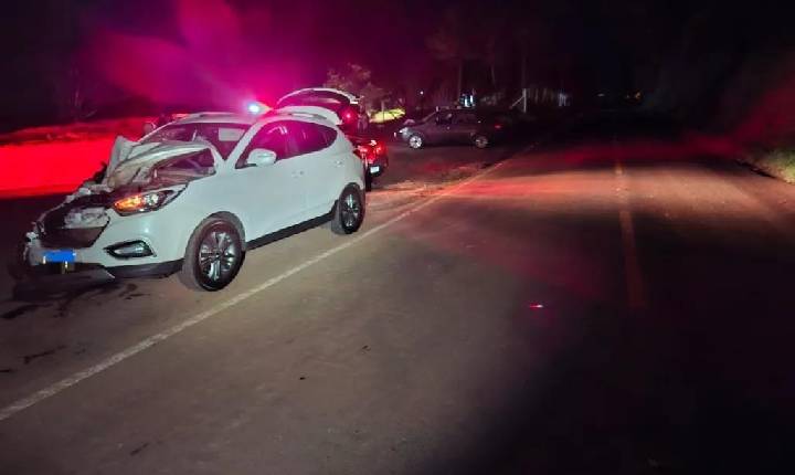 Atropelamento de bovino envolve dois veículos em Xavantina