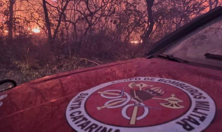 Bombeiros de Santa Catarina trabalham no combate ao fogo no Centro-Oeste