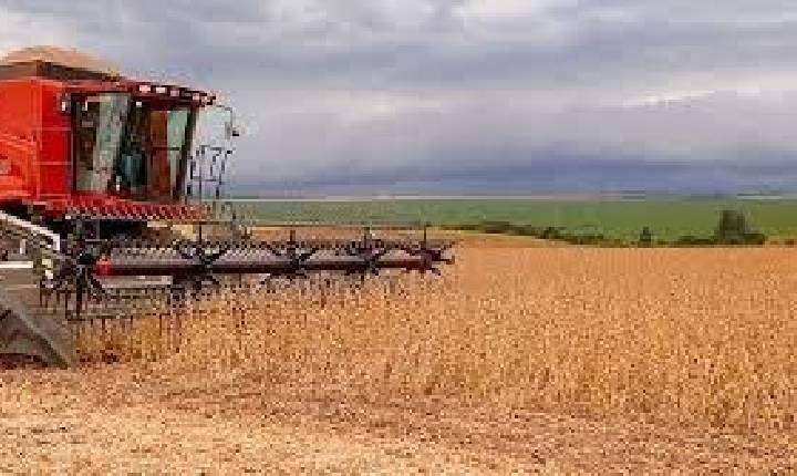 Brasil deve ter nova safra recorde de grãos em 2025/26, diz Conab