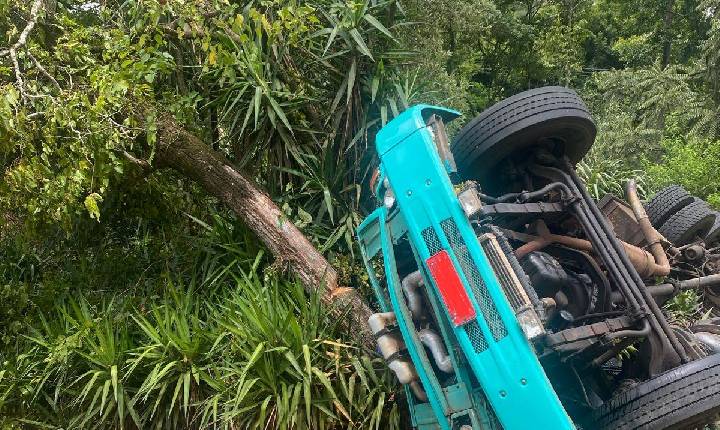 Caminhão carregado com alimentos sai da pista, tomba e colide em árvores na SC-155