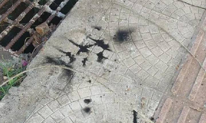 Caminhão colide em poste e danifica rede elétrica em Seara
