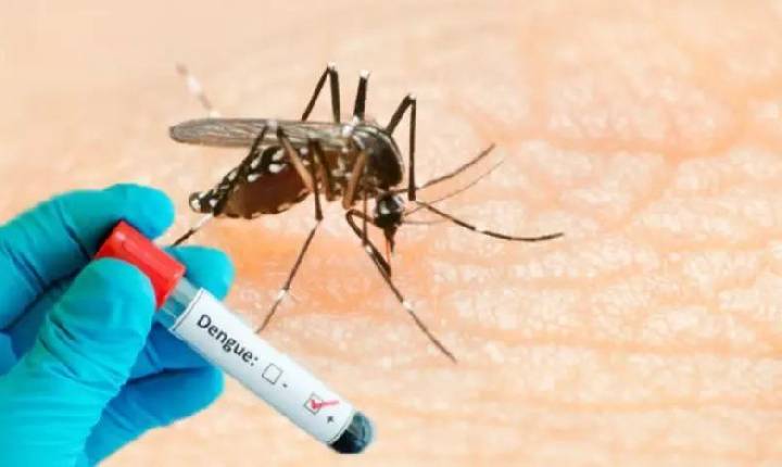 Chapecó confirma e primeira morte por dengue em 2024
