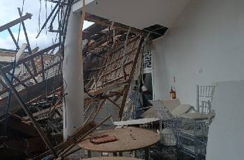 Galeria de Imagem