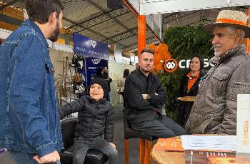 Galeria de Imagem
