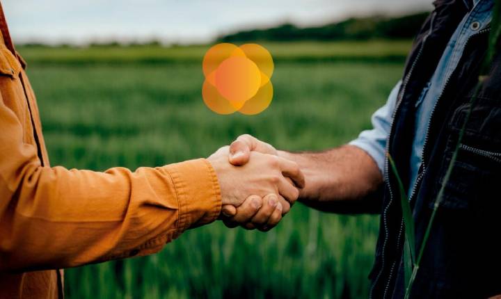 Cresol paga a cooperados mais de R$ 333 milhões em juros sobre o capital social