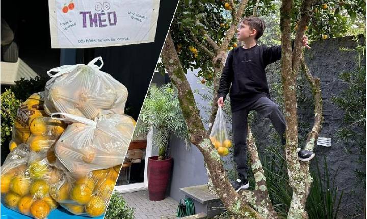 Criança distribui laranjas a vizinhos e transforma gesto simples em lição de gentileza em Ponte Serrada