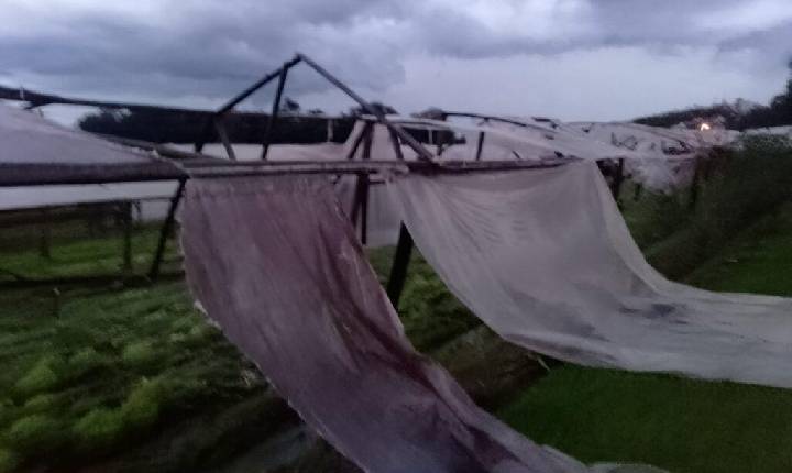 Forte temporal atinge Chapecó e deixa estragos
