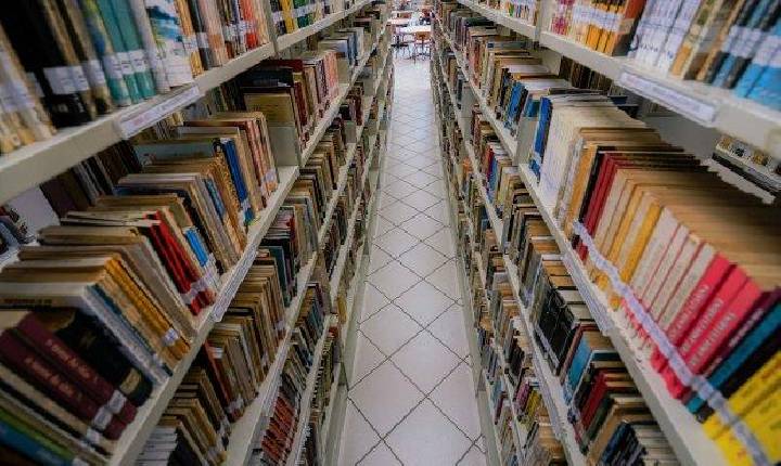 Governo de SC anuncia contratação de bibliotecários, psicólogos, assistentes sociais e nutricionistas para a Educação