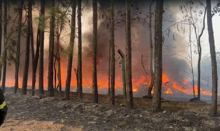 Incêndio de grandes proporções bloqueia rodovia próximo a Chapecó