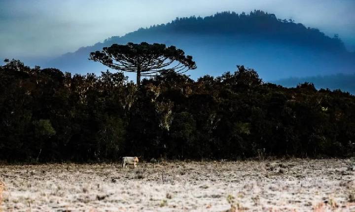 Inverno Brasileiro inicia oficialmente nesta sexta-feira