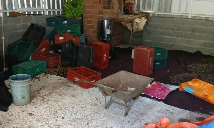 Ladrões invadem propriedade e furtam nozes no interior de Seara