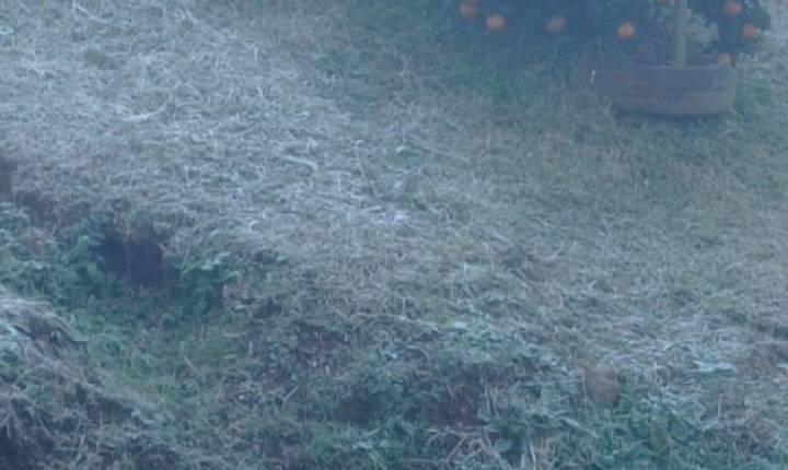 Madrugada de quinta-feira tem a menor temperatura do ano em Seara e região