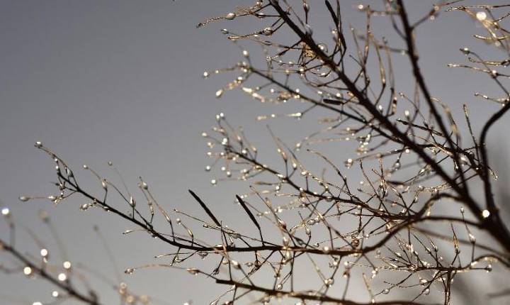Massa de ar frio derruba temperaturas em SC a partir desta segunda-feira