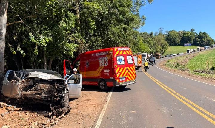 Motorista fica gravemente ferido após bater carro contra árvore na SC-157