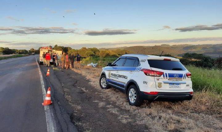 Motorista preso por atropelar e matar caminhoneiro na BR-153 continua no Presídio de Concórdia