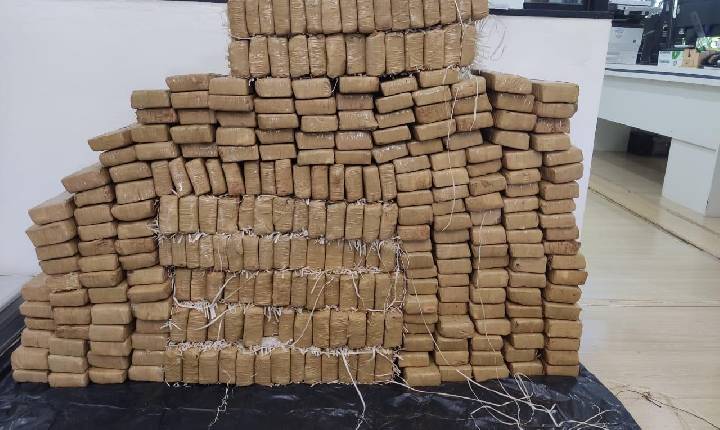 Mulher é presa em Itá com mais de 200 quilos de maconha em ação das Forças de Segurança Pública