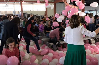 Galeria de Imagem