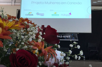 Galeria de Imagem