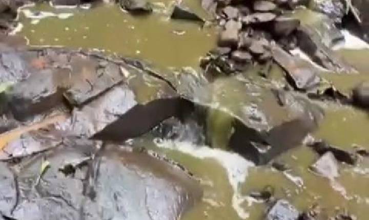 Ouvinte denúncia despejo de dejetos em córrego no interior de Xavantina