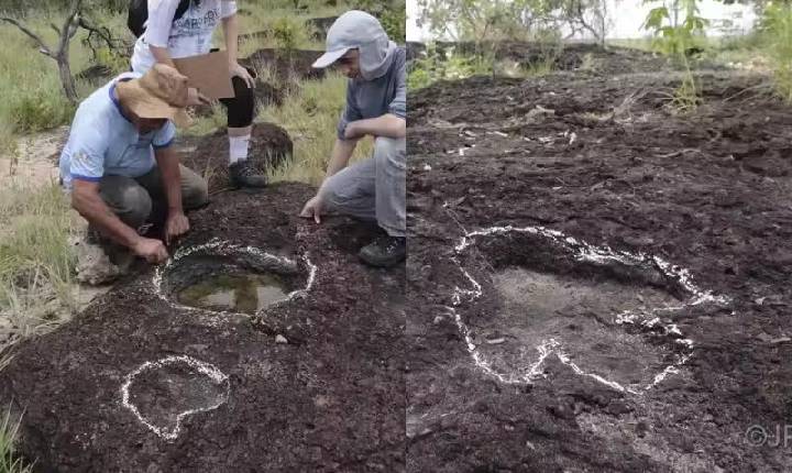 Pesquisadores descobrem pegadas de dinossauro na Amazônia; 110 milhões de anos