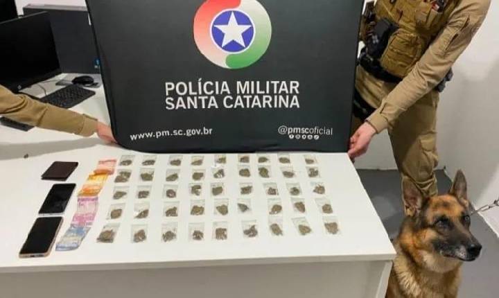 PM faz grande apreensão de maconha em Chapecó