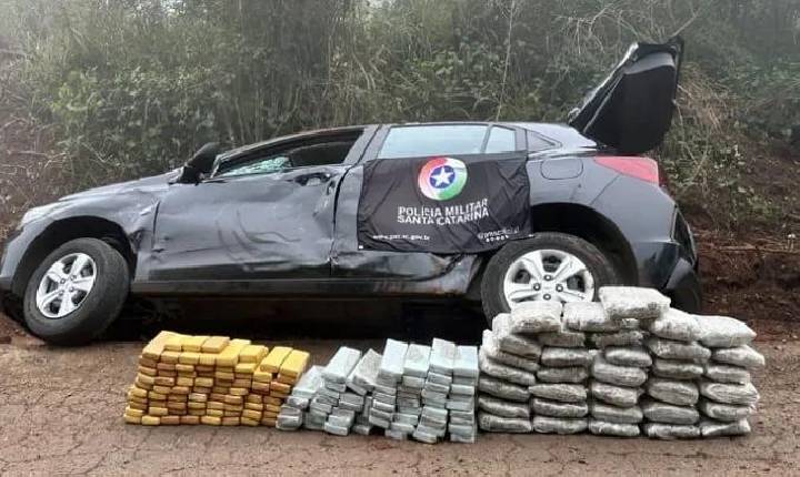 Polícia Militar registra recorde de apreensões de drogas nas rodovias estaduais no semestre