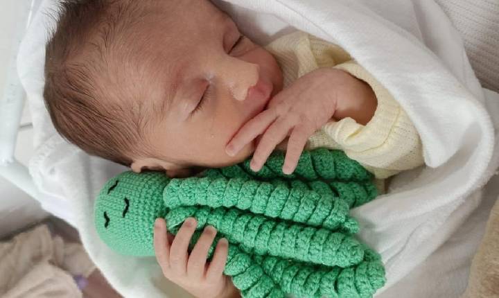 Polvo Terapêutico leva conforto e segurança a mais de 300 bebês em hospital catarinense