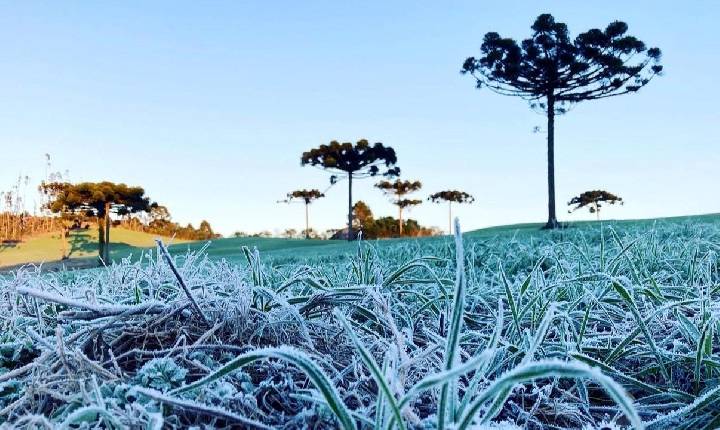 Quinta-feira será de frio intenso e temperaturas negativas em Santa Catarina