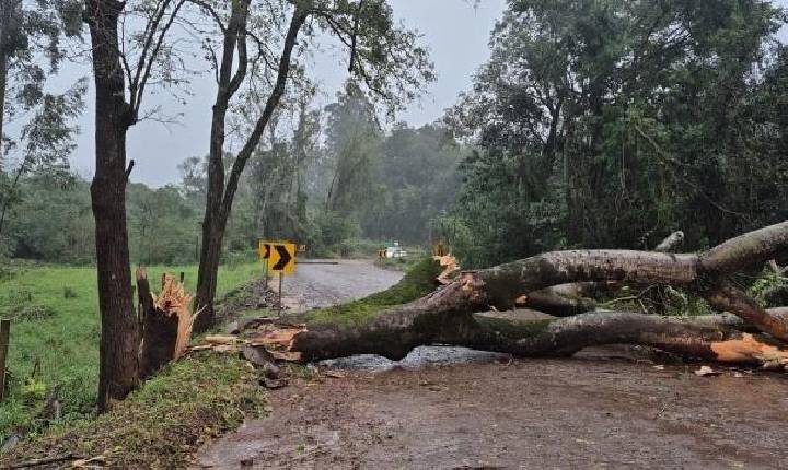 REGIÃOREGIÃO OESTE Temporal causa estragos em cidades do Oeste