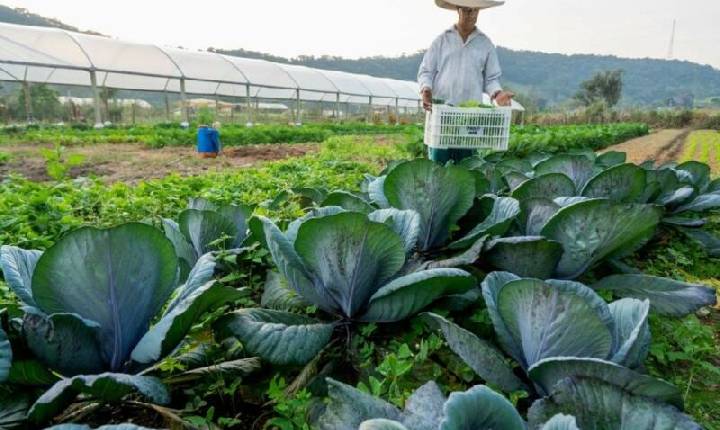 Santa Catarina altera regras do Programa Fundo de Terras e facilita a aquisição de imóveis rurais