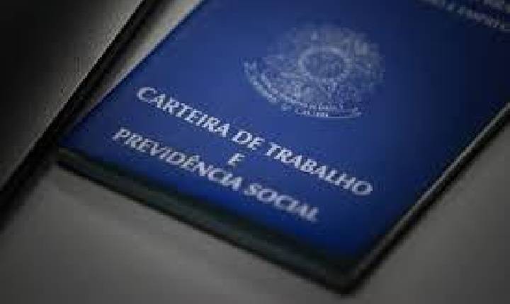 Santa Catarina tem 8,8 mil vagas abertas no Sine; Em Seara são 165