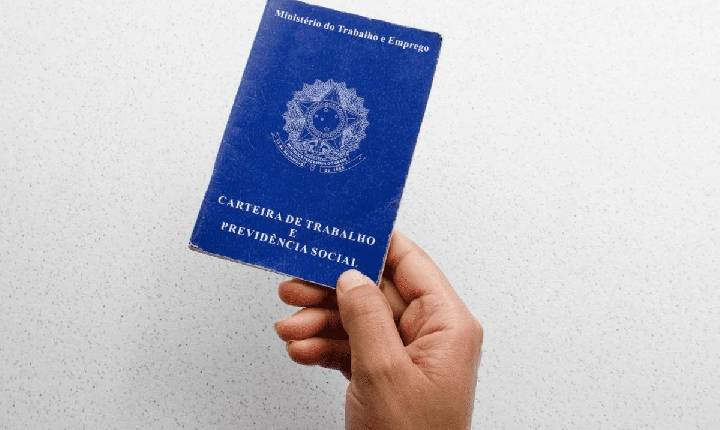Santa Catarina tem 9.838 vagas de emprego abertas no Sine; Em Seara são 190