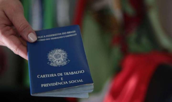 SC segue com mais de 9 mil vagas de emprego disponíveis pelo Sine; Em Seara são 184 oportunidades