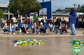 Galeria de Imagem