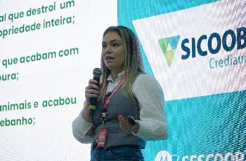 Galeria de Imagem
