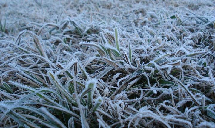 Temperatura chega a -5,6°C e SC registra novo recorde de frio do ano; veja as mínimas