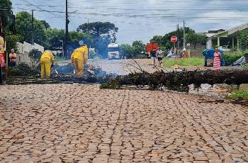 Galeria de Imagem