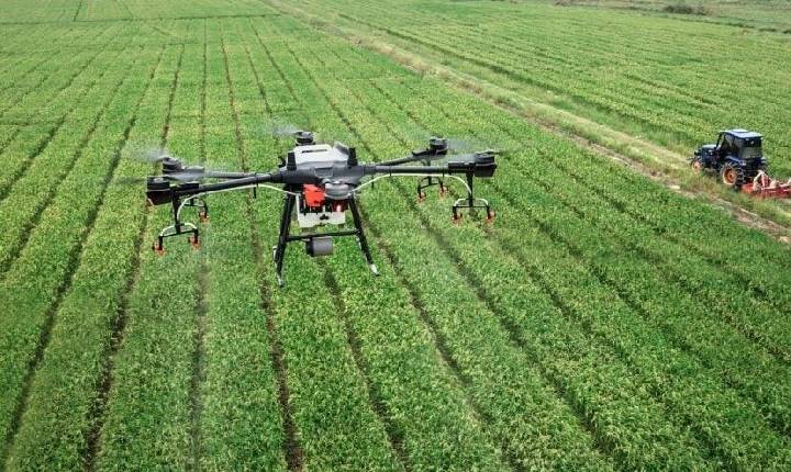 Uso de drones na agricultura facilita mapeamento de áreas e controle de falhas de plantio