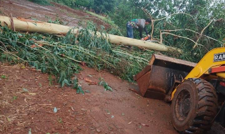 Vendaval causa danos em município do Oeste de Santa Catarina