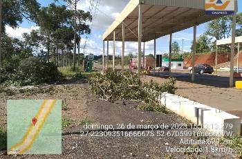 Galeria de Imagem