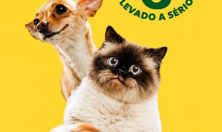 Xavantina terá mutirão de castração na próxima segunda-feira, dia 18