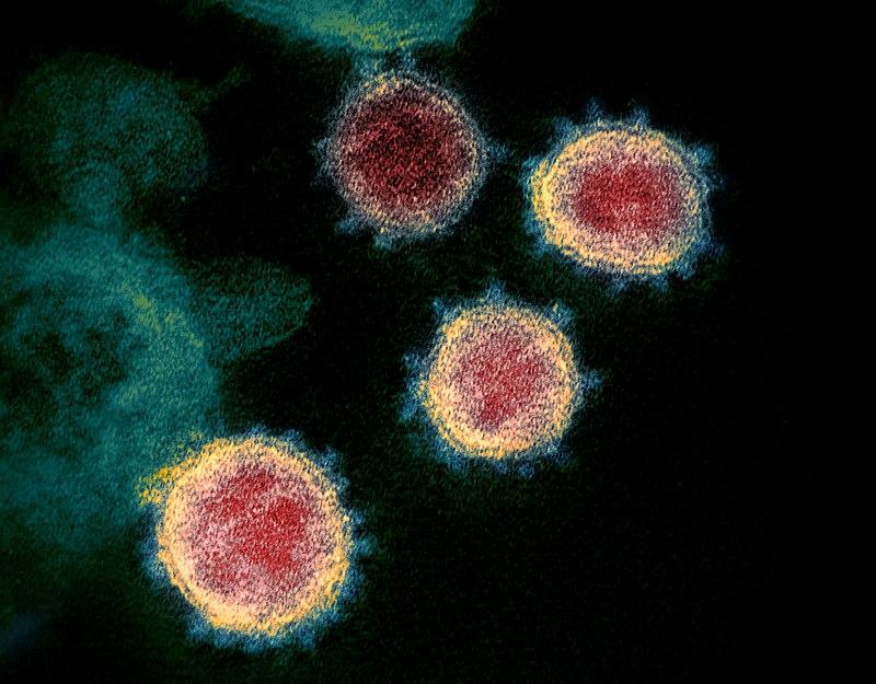 Chapecó chega a 479 mortes por coronavírus
