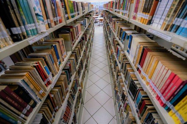 Governo de SC anuncia contratação de bibliotecários, psicólogos, assistentes sociais e nutricionistas para a Educação