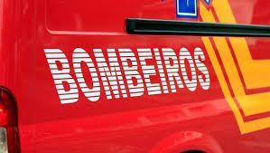 Jovem de 17 anos morre após ser atingido por árvore no interior do município de Ipumirim